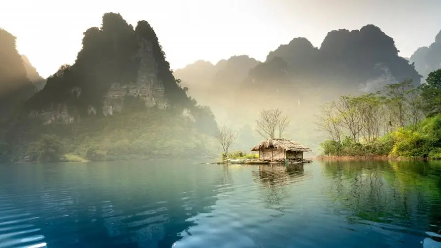 全自动高端